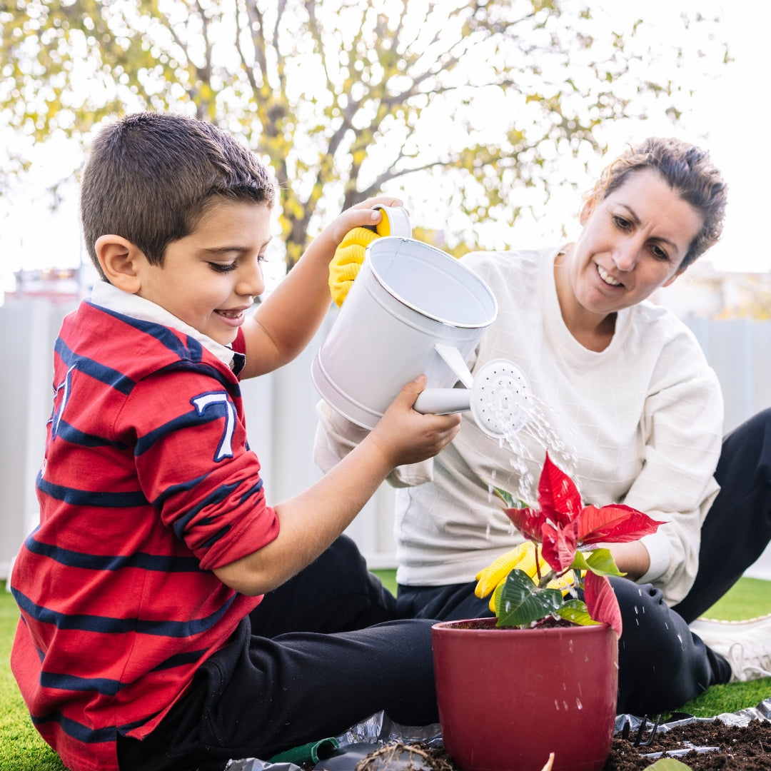Home & Garden